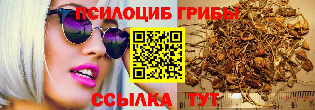 Псилоцибиновые грибы GOLDEN TEACHER Кизилюрт